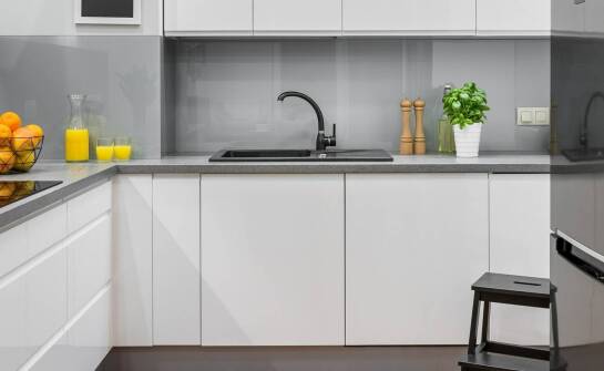 Najlepsze praktyki w walce z czarnymi robaczkami w przestrzeniach mieszkalnych.