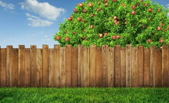 Jakie wykończenia oferuje się dla łupanych i gładkich ogrodzeń?