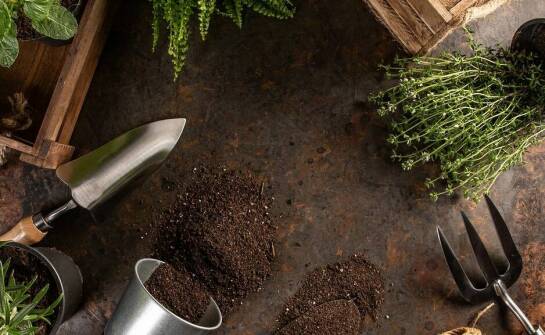 Na co zwrócić uwagę przy wynajmie glebogryzarek do prac ogrodniczych?