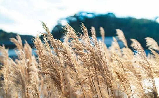 Łączone filtry – kiedy warto je zastosować?