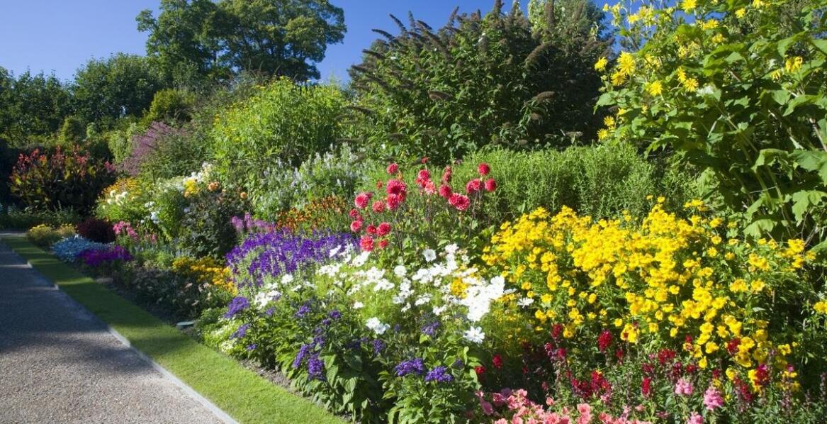 Adaptacja ogrodowych projektów do specyficznych warunków terenowych