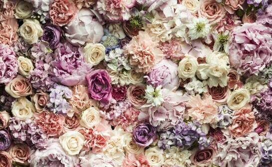 Wieczne róże w vintage aranżacjach: jak osiągnąć stylowy efekt?