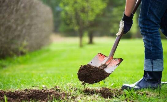 Jak łopata przyczynia się do poprawy wydajności prac w ogrodnictwie?