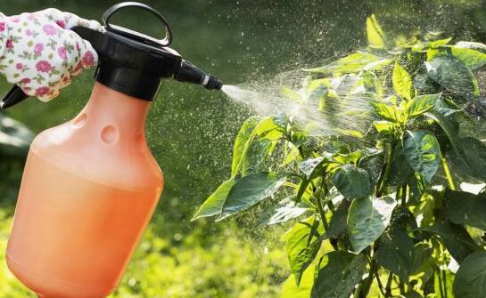 Jak opryskiwacze mogą zwiększyć wydajność w ogrodnictwie?