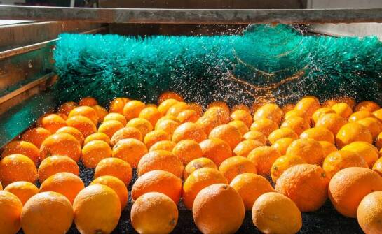 Podstawowe zasady mycia i dezynfekcji w przemyśle spożywczym