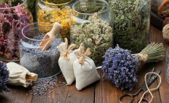 Zioła dla zdrowej skóry – co oferuje online sklep zielarski?