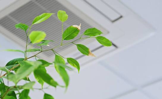 Jak XXL Cytovital wspiera organizm w procesie regeneracji po intensywnym wysiłku fizycznym?