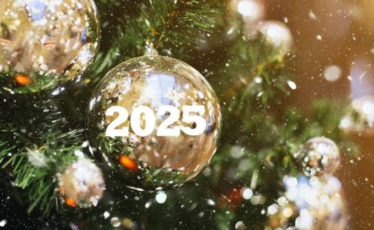 Jakie są korzyści z posiadania sztucznej choinki 250 cm w przestrzeni publicznej?