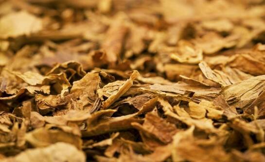 Jak liściaste zrębki mogą wspierać zrównoważony rozwój w przemyśle?