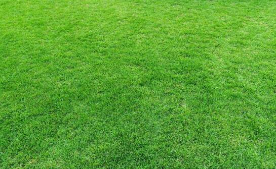 Jak zapobiegać erozji na wielkopowierzchniowych trawnikach?