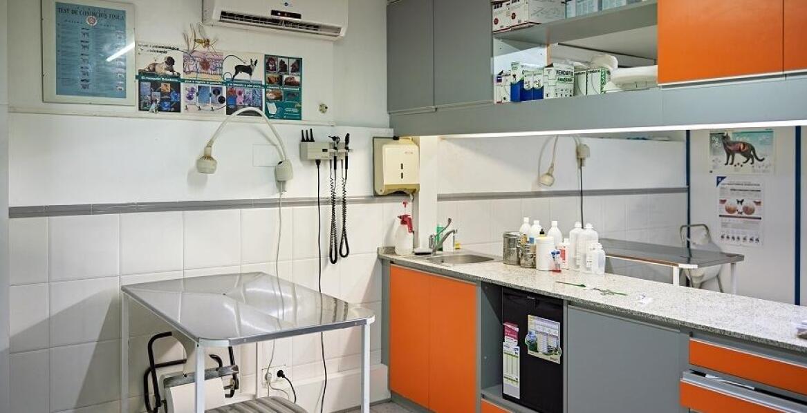 Jakie meble do weterynaryjnego gabinetu są niezbędne dla komfortu pacjentów?