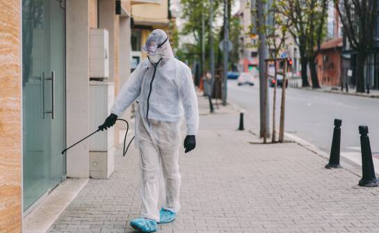 Wyzwania związane z deratyzacją w przemysłowych obiektach