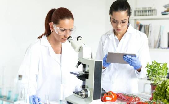 Znaczenie sanepidowskich badań w branży spożywczej