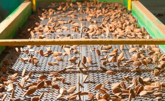 Wpływ nowoczesnych urządzeń do prażenia nasion na wydajność produkcyjnych linii