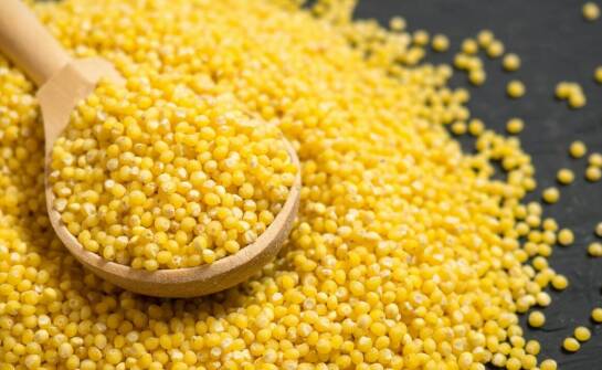 Jak bio kasza jaglana wpływa na poziom energii i witalność?