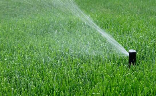 Profesjonalne usługi zakładania trawników: Jakie są najczęstsze techniki?