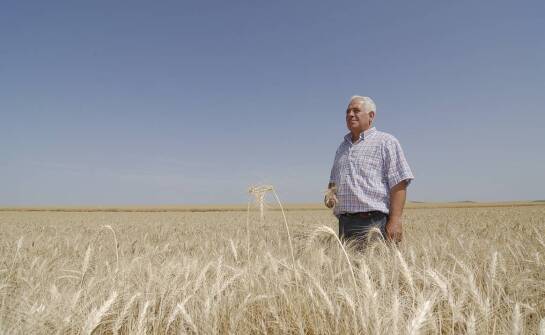 Bezpieczeństwo transakcji w skupie zboża – jak zapewniamy je?