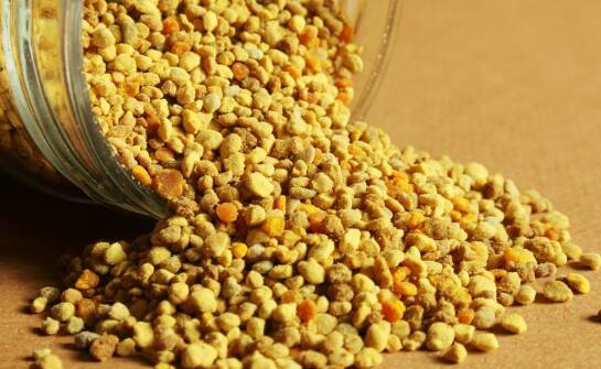 Mleczko pszczele w kapsułkach – naturalne wsparcie dla odpornościowego układu