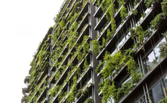 Jak elewacje roślinne wpływają na efektywność energetyczną budynku?