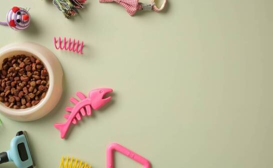 Rola nienasyconych tłuszczowych kwasów w suchych karmach dla psów