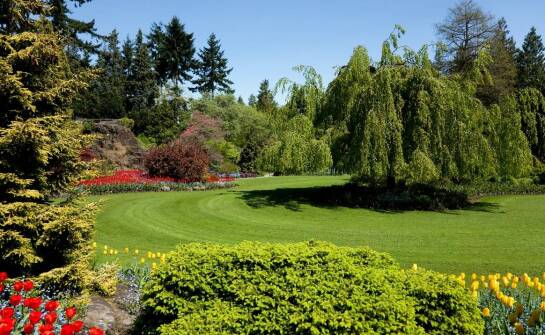 Skuteczne techniki koszenia nieużytkowych terenów dla zachowania ich estetyki