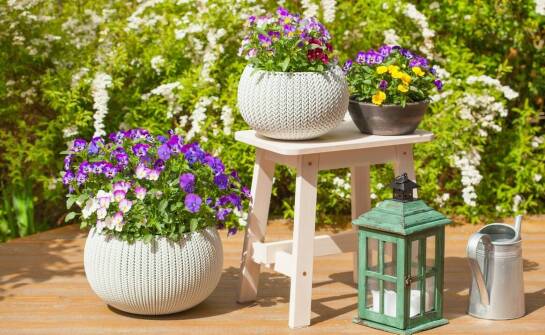 Trendy ogrodowe: druciane donice jako must-have sezonu