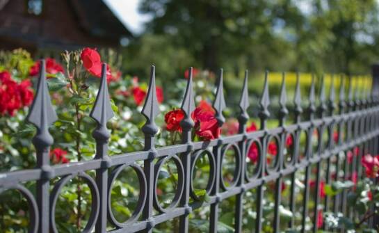 Różnorodność wzorów metalowych podpór do kwiatów – jak dobrać najlepszy styl?