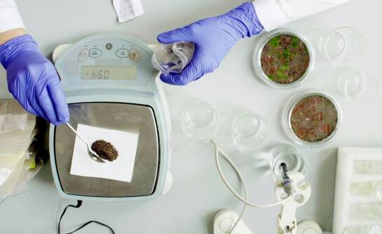 Ocena narażenia na ciężkie metale w środowisku pracy