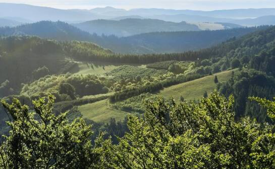 Bieszczady jako destynacja na firmowe jednodniowe wycieczki