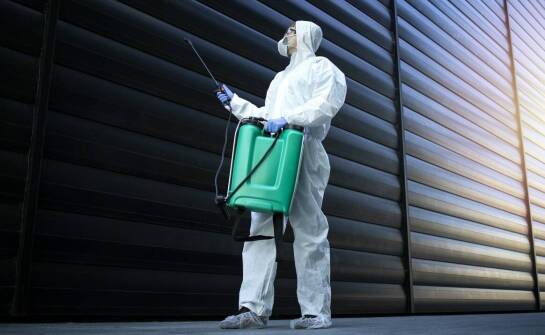 Rola dezynsekcji w redukcji ryzyka chorób przenoszonych przez owady.