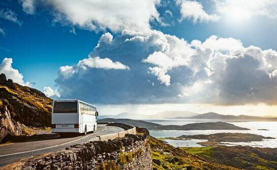 Busy do wynajęcia z kierowcą na tematyczne wycieczki: Jak skorzystać z oferty?