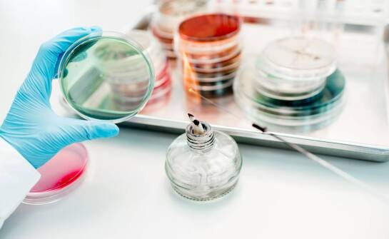 Kluczowe elementy wyposażenia do hodowli kultur in vitro roślin w laboratoriach