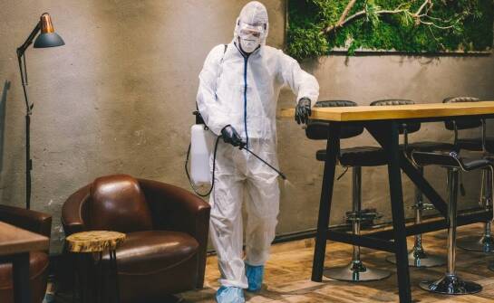 Dezynfekcja po koronawirusie a zabezpieczenie przed prusakami