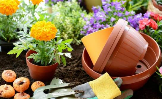 Rola ogrodniczej hurtowni w rozwoju zrównoważonego rolnictwa