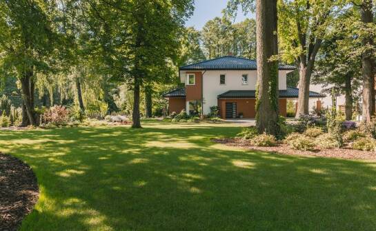 Samozagęszczająca trawa renowacyjna jako element ochrony środowiska