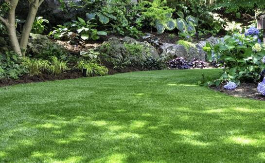 Jakie typy podłoża najlepiej współgrają z renowacyjną trawą?