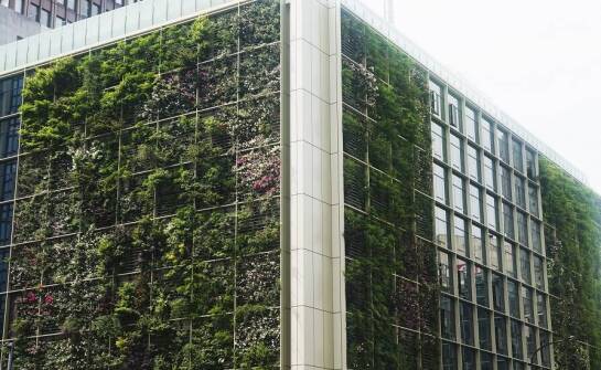 Jakie są koszty i korzyści związane z inwestycją w zielone elewacje?