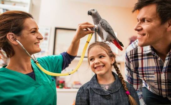 Znaczenie dermatologicznych konsultacji dla zdrowia egzotycznych zwierząt domowych