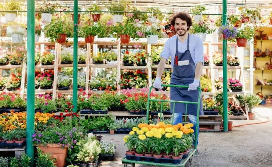 Wybór odpowiedniej spalinowej glebogryzarki dla początkujących ogrodników