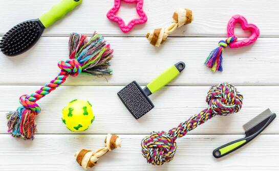 Zestaw dla psa a jego wpływ na emocjonalne zdrowie