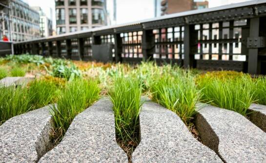 Wyrównawcze pierścienie a ich rola w ochronie przed erozją nawierzchni