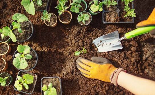 Jak przygotować się do pracy z wiertłami do gleby?