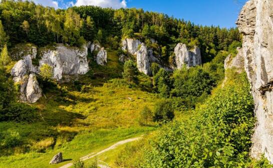 Zalety wykorzystania skarpowych systemów w trudnych warunkach terenowych
