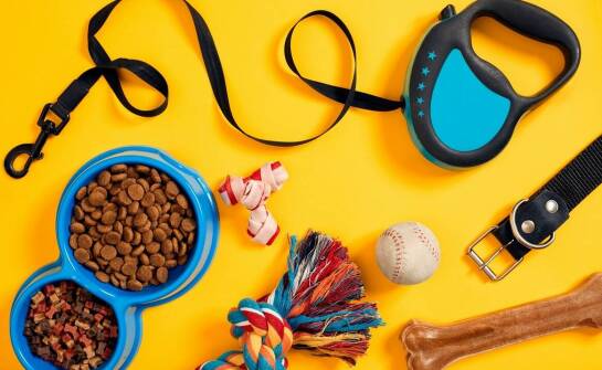 Zróżnicowane zestawy dla psów – co zawierają i dlaczego warto je wybrać?