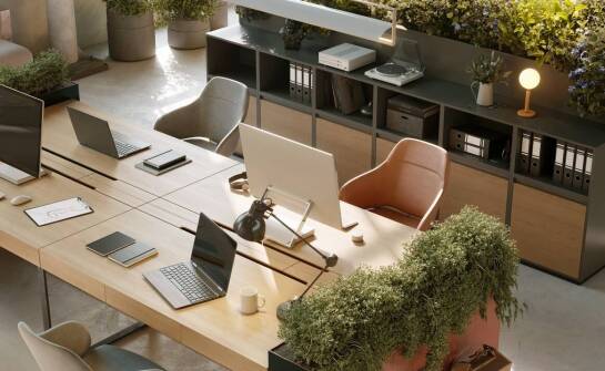 Innowacyjne moduły do tworzenia ścian z roślinami – nowoczesne rozwiązania