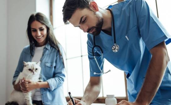 Druki weterynaryjne – dlaczego warto postawić na wysoką jakość?