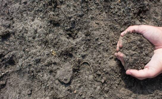 Wyjątkowe wyzwania związane z remediacją skażonych gleb substancjami ropopochodnymi