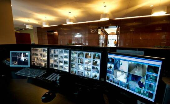 Jak wdrożenie systemu do detekcji gryzoni może poprawić efektywność deratyzacji?