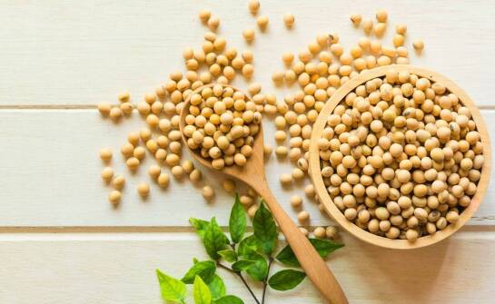 Gorczyca jako kluczowy element w strategii poprawy plonów.