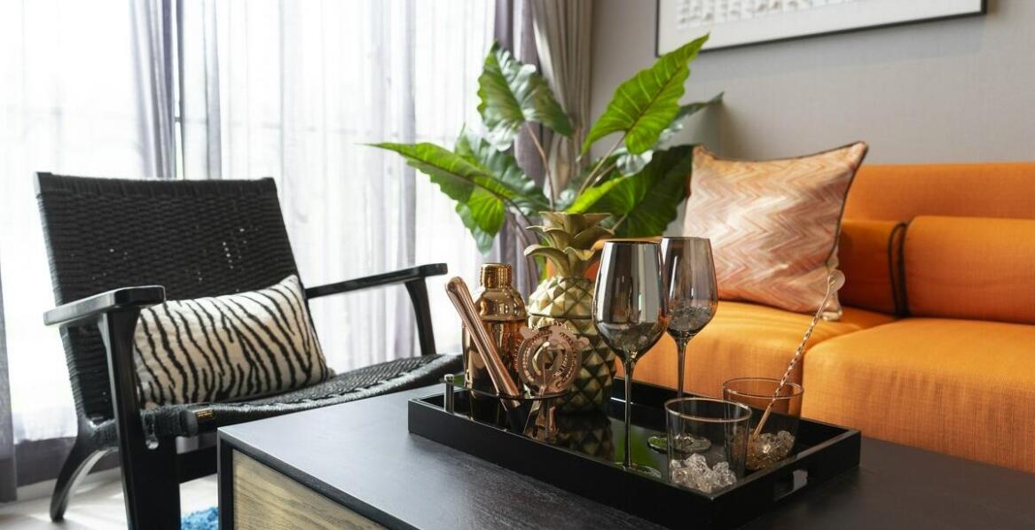 Jakie kolekcjonerskie sansewierie warto mieć w swojej domowej dżungli?